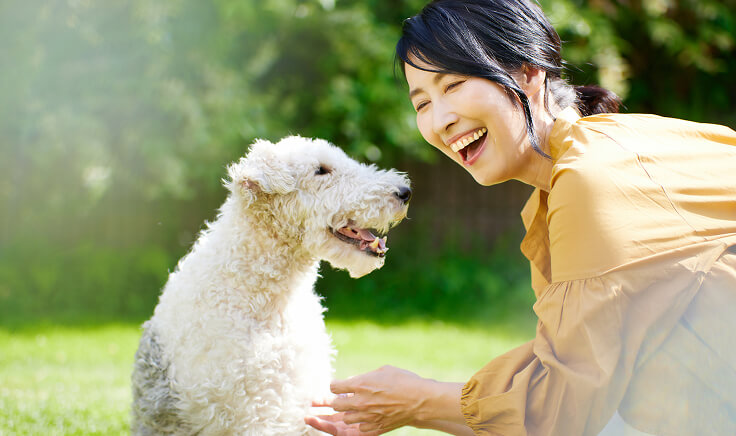 ドッグラン画像01